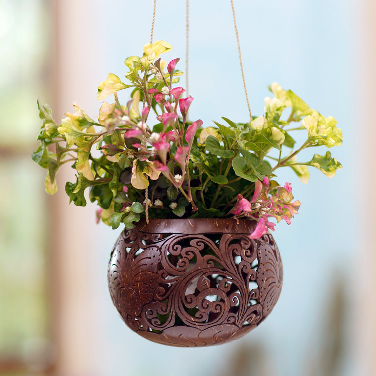 Bungalow Rose Handmade Indoor Hanging Planter Wayfair